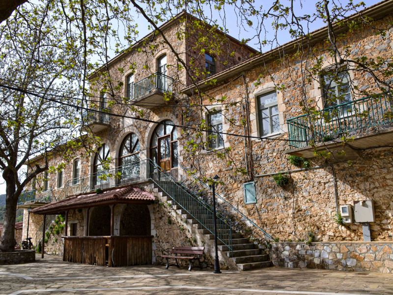 Διαδρομή SUV 4χ4 στα δάση Καστανίας και Ελάτης του Πάρνωνα για να μαθαίνουμε τα μυστικά της μανιταροσυλλογής και να δοκιμάσουμε τις μοναδικές τους γεύσεις με ασφάλεια. 