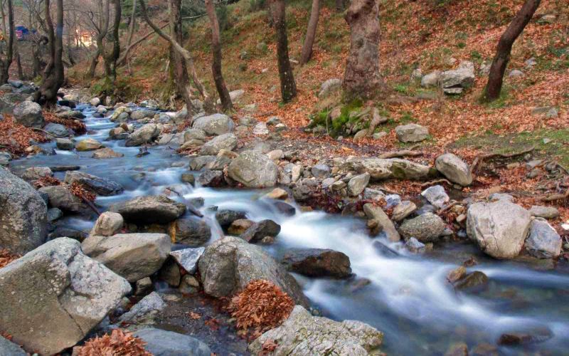 Dense forest and multiple water streams and cliffs