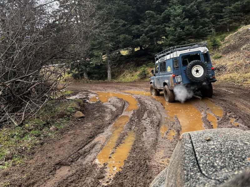 Στα δάση, τα λιβάδια και τα φαράγγια της Οίτης
