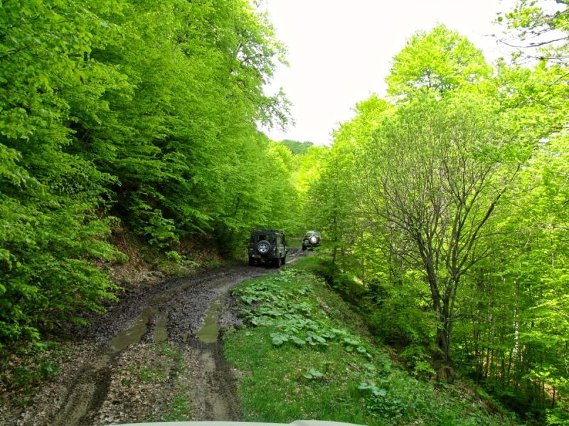 The aesthetic forest of Rona and the mansions of Metsovo