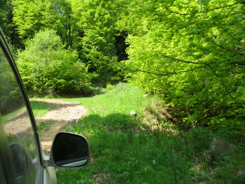 The aesthetic forest of Rona and the mansions of Metsovo