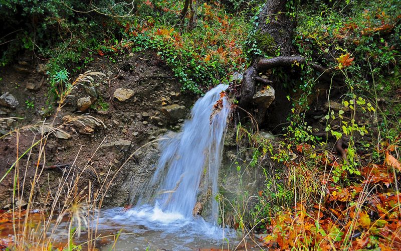 Dense forest and multiple water streams and cliffs